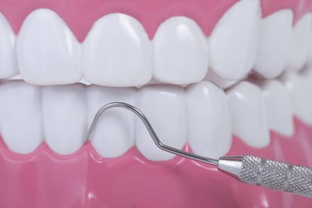 dental model object and dental tool,hook on white background
