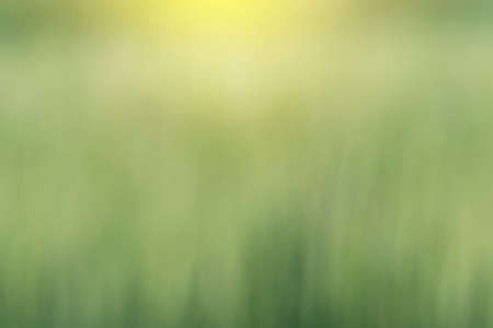 green blur background with light