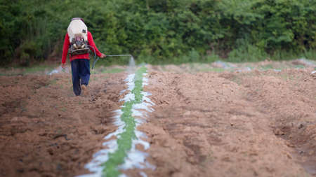 farmer spraying pesticide in farmland
