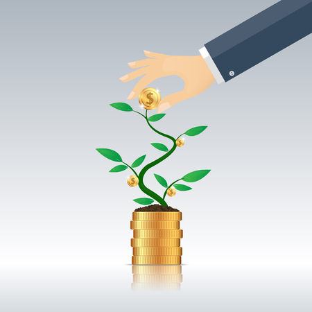 harvest Money  from the money tree, business conceptのイラスト素材