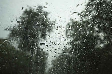 water drop of rain on a glass, blurred tree in background, selective focus, high contrast picture...