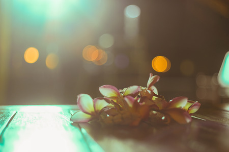 pink franjipani plumeria flower put on a wooden table with lighting from the back and blurred background,selective focus,filtered imageの写真素材