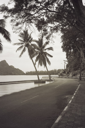view of beautiful turning road near the sea and mountain,abstract vintage monotone filtered imageの写真素材