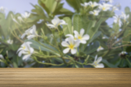 Wooden desk or wooden floor on green tree and flower background vintage tone process.use for present or mock up your productの写真素材
