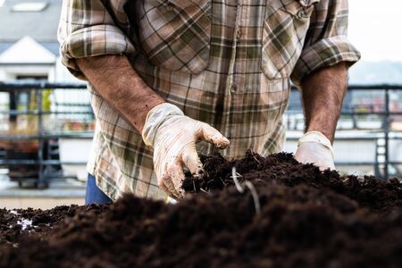 Man working in home gardening