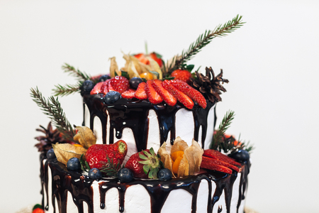 White Cream Icing Cake with Fruits and Chocolate, Wedding naked cake on white backgroundの写真素材