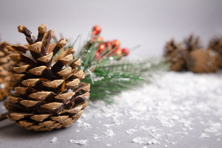 Christmas decoration with pine cone and snow on white background. Selective focus.の写真素材
