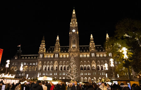 A beautifully illuminated grand castle with a decorated Christmas tree in front, creating a festive and magical holiday atmosphere.の写真素材