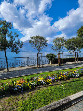 Lake Como in Bellagio, Italy, with blooming flowers in the foreground, showcasing a stunning blend...