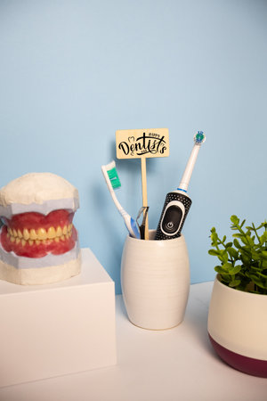 Anatomical model of human teeth and gums with toothbrushes and wooden sign Happy Dentist's Day