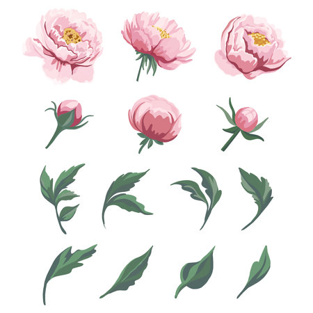 Beautiful pink peonies and green leaves arrangement for wedding composition, ideal for invitations, cards, and romantic floral decorationsのイラスト素材