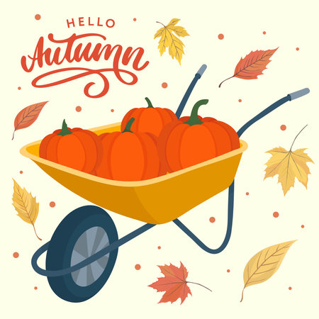 Hello autumn greeting card with a wheelbarrow filled with pumpkins and colorful fall leaves, perfect seasonal decoration designのイラスト素材