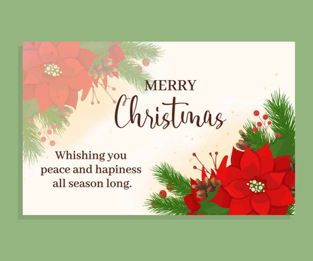 Merry Christmas greeting wish card decorated with vibrant red holly flowers and fir tree branches festive design for holiday celebration and seasonal decorationのイラスト素材