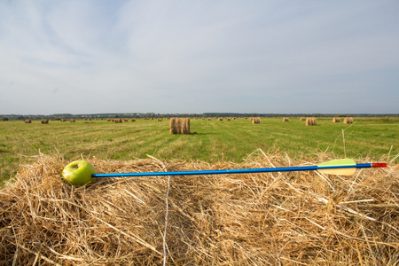 The arrow landed right in the Apple on the stack of hay in the green fieldの写真素材