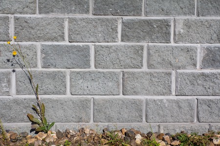 grey brick wall with stones at the bottom and a lonely flower for background or web designの写真素材