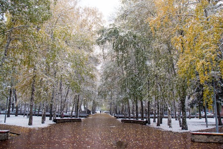 First snow in the city. Snow-covered streets. Autumn landscape. green and yellow leaves in the snowの写真素材