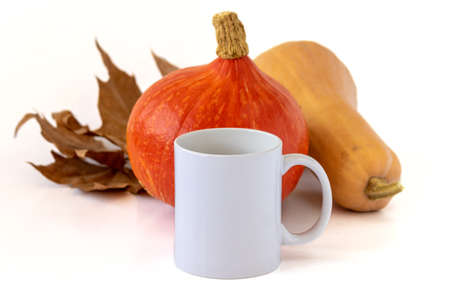 A closeup shot of a mug and pumpkins on white background. Mockup scene.の写真素材