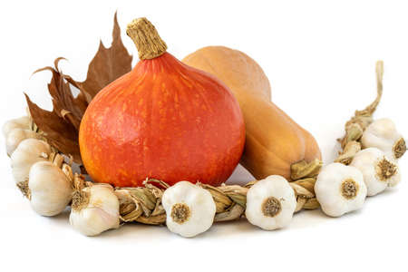 A coseup shot of pumpkins and garlic on white backgroundの写真素材