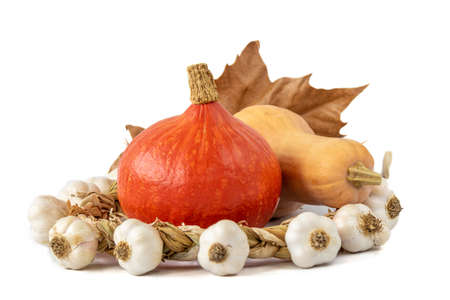 A closeup shot of pumpkins and garlic on white backgroundの写真素材