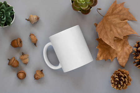 A closeup shot of a white mug and accorns on white background. Mockup scene.の写真素材