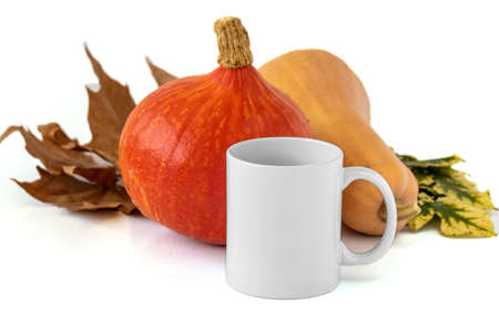 A closeup shot of a white mug and pumpkins on white background. Mockup scene.の写真素材