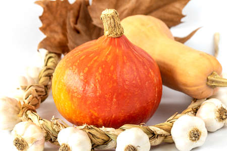 A coseup shot of pumpkins and garlic on white backgroundの写真素材