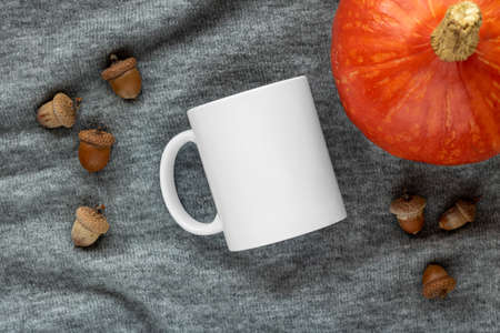 A closeup shot of a white mug, pumpkin and accorns on white background. Mockup scene.の写真素材