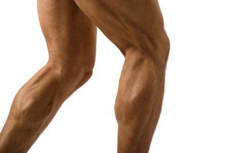 Close up on muscular bodybuilder male legsの写真素材