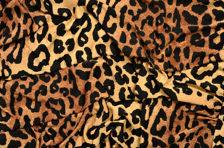 Animal print as background.の写真素材