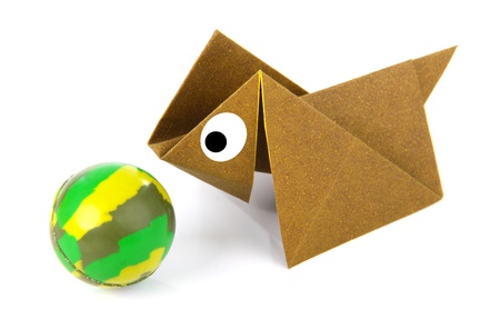 Conceptual image of home pets and animalsの写真素材