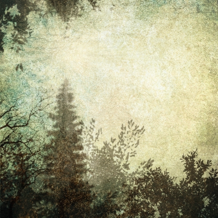 Computer designed highly detailed gray grunge border frame with forest-like vintage texture and space for your text or imageの写真素材