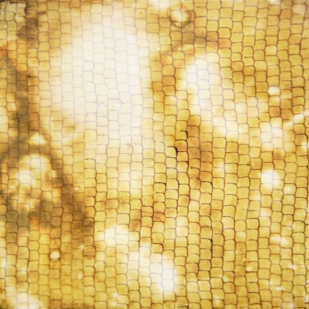 Highly detailed abstract texture or grunge background. For art texture, grunge design, and vintage...