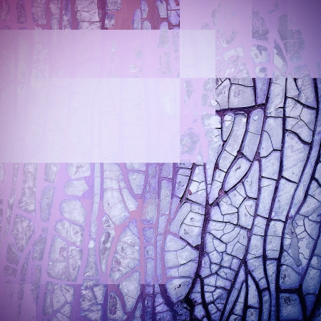 Old scratched backgroundの写真素材