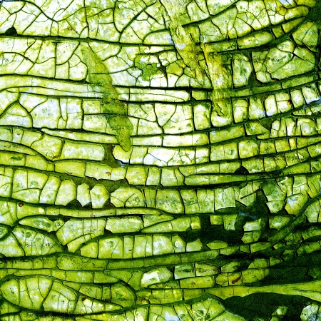 Grunge texture used as backgroundの写真素材