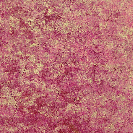 Abstract grunge background of old textureの写真素材