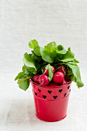 The red radish. Selective focus.の写真素材
