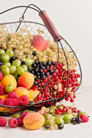 Summer fruits and berries - red, black and white currants, raspberries, gooseberries, peaches and apricots. Selective focus.の写真素材