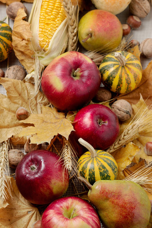 Autumn holiday Thanksgiving. Still life with pumpkin and apples, pears and nuts, cones and leaves.の写真素材