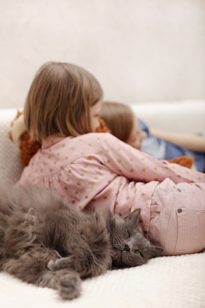 Two little girls (sisters 7 and 8 years old) are watching an e-book and a smartphone at home on the sofa with their cat. Selective focus.の写真素材