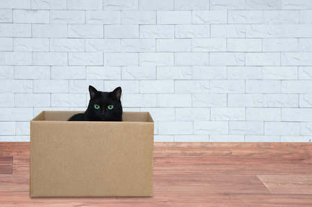 A black cat sits in a box. Against the background of a white brick wall.