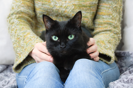 The girl in the green sweater is holding a black cat.
