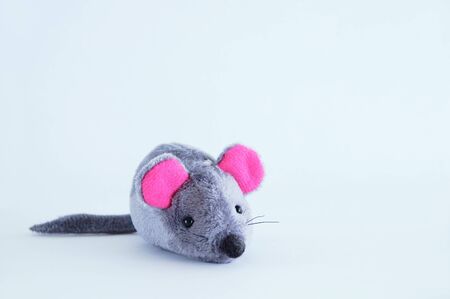 Gray soft toy mouse on a white background close-up.の写真素材