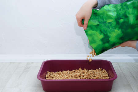 Wood litter for cat litter. Pour close-up into the tray.の写真素材