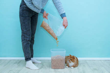 Wood litter for cat litter. Caucasian woman and red cat.