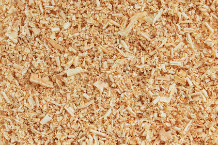 Background texture sawdust cedar shavings woody yellow close-up.の写真素材