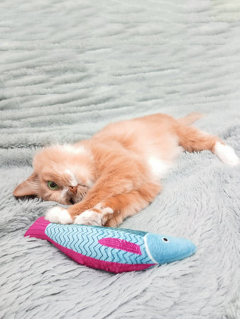 Ginger cat with a toy fish lying on a gray blanket.