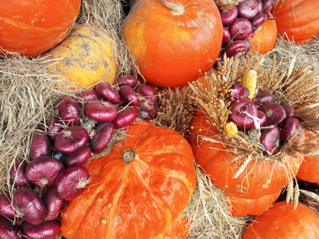 Pumpkins and red onions on hay. Harvesting.の写真素材