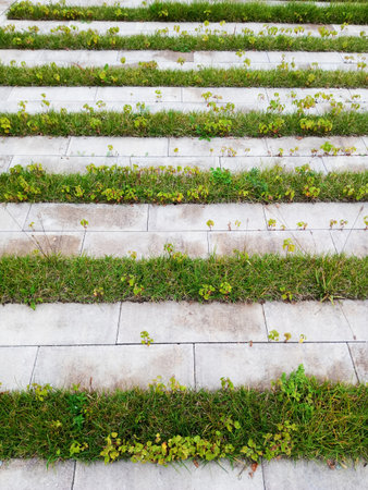 Striped lawn in a row between paving slabs. Summer, daytime.