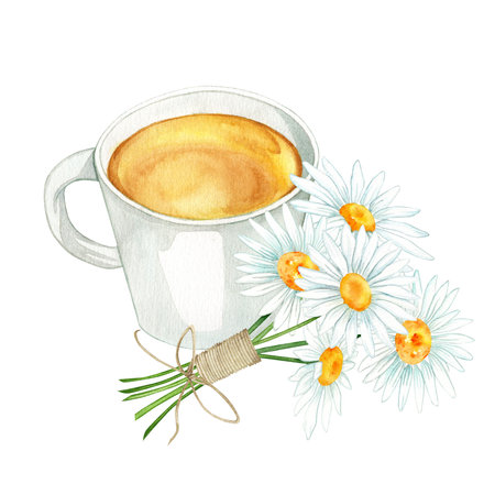 cup of chamomile tea watercolor. bouquet of daisies. bouquet of chamomiles. watercolor illustration for design. beautiful illustrations of chamomile. isolated on white.の写真素材