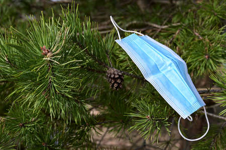 On a bright sunny day, a disposable medical mask hangs on a tree branch. Environmental pollution problems and medical waste disposal, the effects of coronavirusの写真素材
